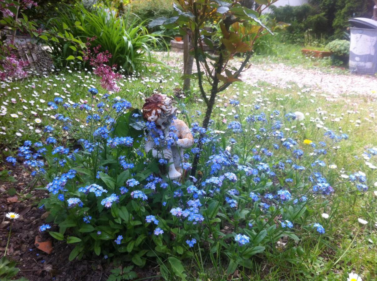 Les 3 Roses Bed & Breakfast Villeneuve-sur-Yonne Ngoại thất bức ảnh