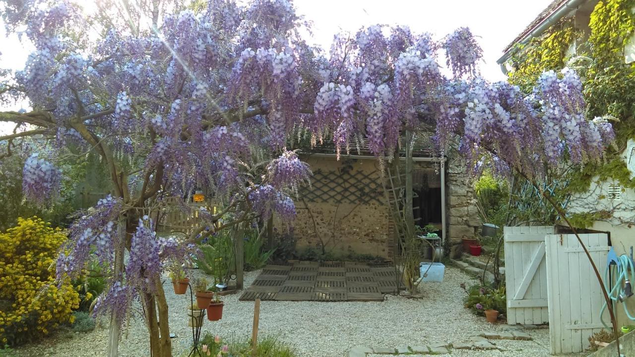 Les 3 Roses Bed & Breakfast Villeneuve-sur-Yonne Ngoại thất bức ảnh